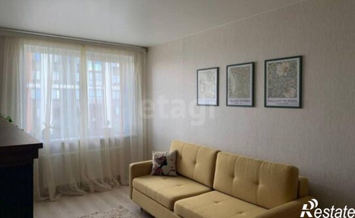 1-комн квартира ул Академика Павлова, 41,  д. 41