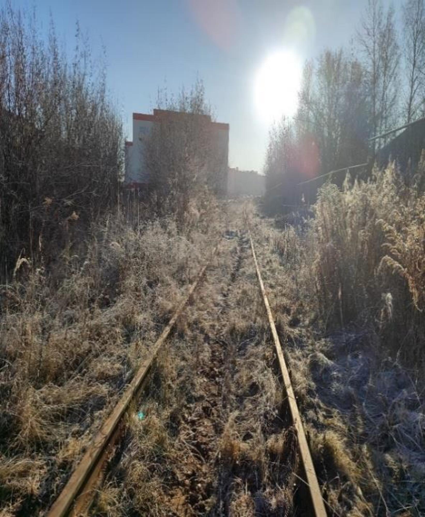 Купить землю, земельный участок за 45 981 600 рублей на Пойма ул.