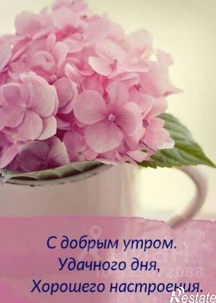Комната ул Орджоникидзе, 13,  д. 13