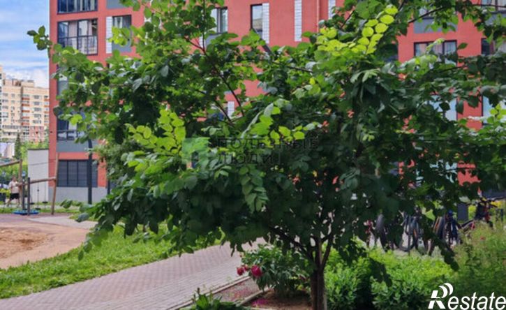 1-комн квартира ул им 50-летия ВЛКСМ, 4,  д. 4