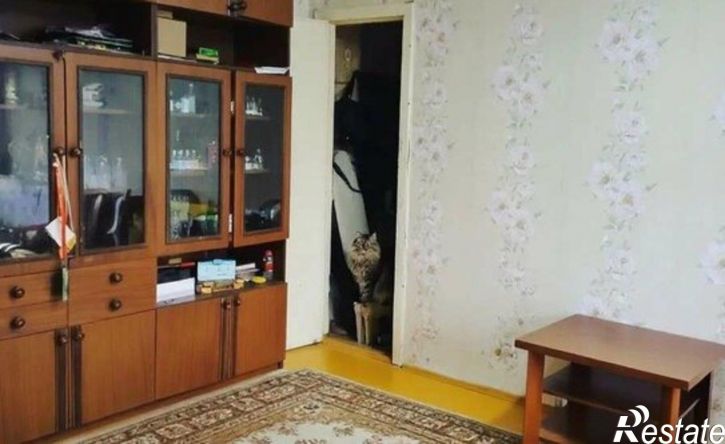2-комн квартира ул Ленина, 56,  д. 56